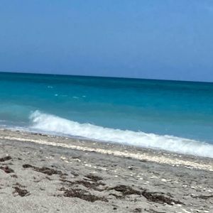 Meet your Posher, Rylee